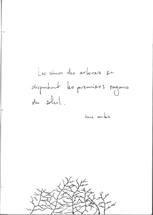 Aube